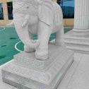 河北 白麻花岗岩动物异形石雕-大象