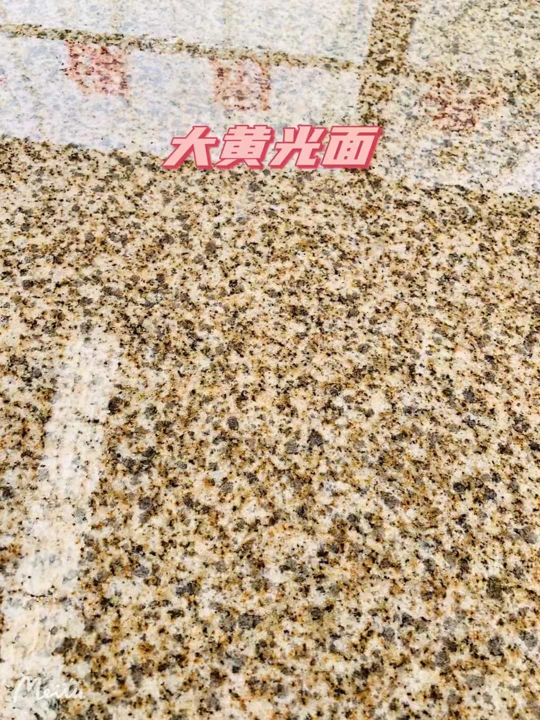 河北黄金麻大黄光面
