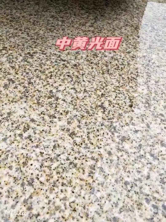 河北黄金麻中黄光面
